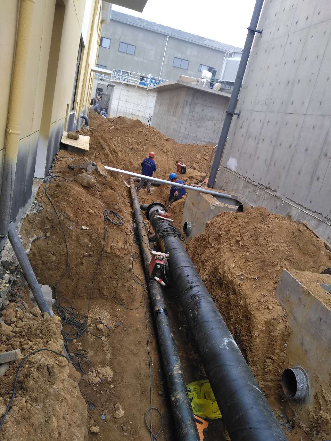 微信圖片_20200503100132.jpg